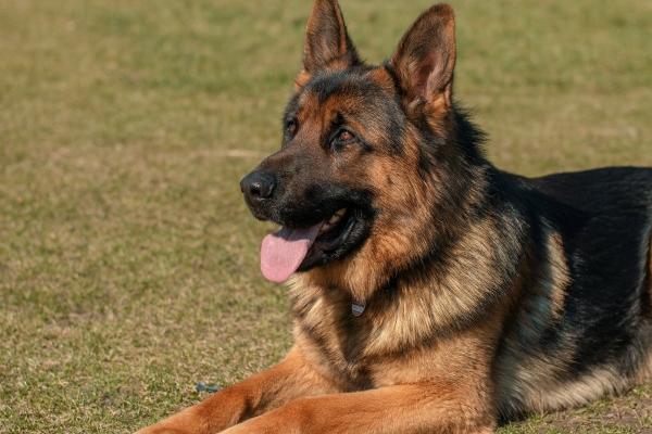 99%的男人都想娶她们!这3星座女简直就是耀眼的存在