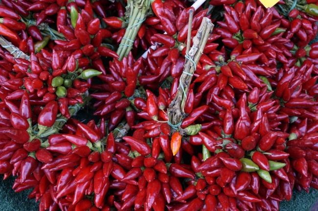 2023年公司起名 2023年成立公司起名