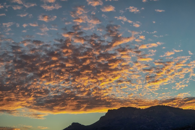 狮子座在2023年春节前后会遇到烂桃花吗 桃花运势波动