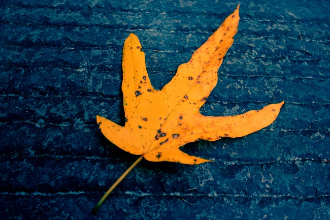 2023春节期间会旺别人的星座女生 分别旺谁？  　　