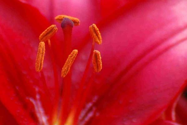 Alex  本周重要星象（12.26—1.1）