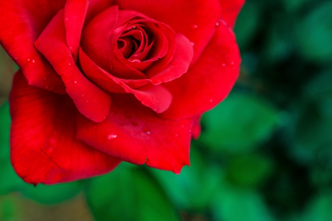 2023年天蝎女财富状况如何 具体发展