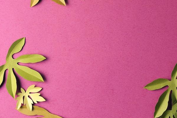 生辰八字查询:2023年农历正月十六这天出生八字是什么