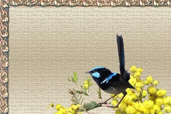 2022年阴历腊月出生是什么星座 摩羯座或水瓶座