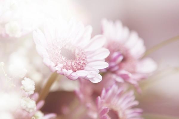 静电鱼 狮子座【周运12月26日-1月1日】