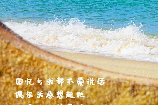 静电鱼 十二星座【周运12月26日-1月1日】