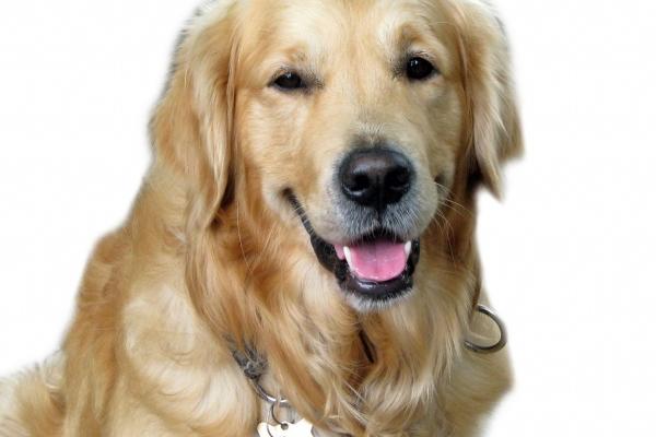 唐绮阳摩羯座2023年1月运势详解