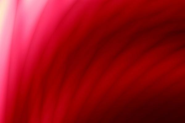 遇到他们就抱紧大腿吧!虽然孤独,但也容易成功的星座