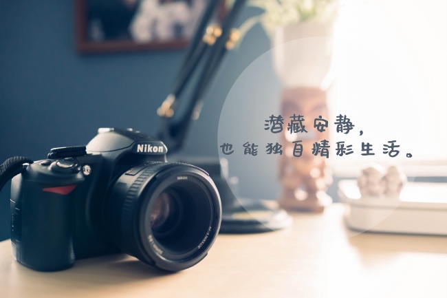 静电鱼 金牛座【周运12月26日-1月1日】