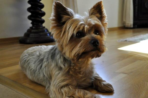 春节期间有望迅速收获爱情的3星座!缘与桃花手段高明!