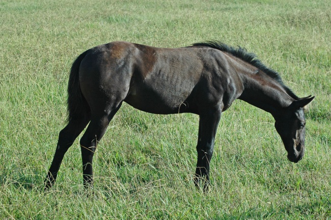 唐绮阳金牛座2023年1月运势详解