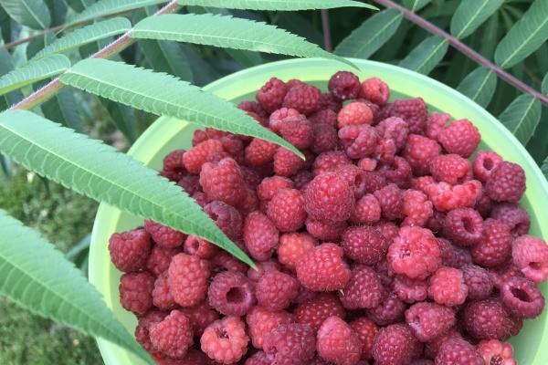 直觉力超准的3星座!他们总能探索一切意义和动机