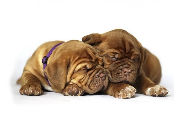 盘点12星座恋爱质量最高的星座!很容易初恋到结婚