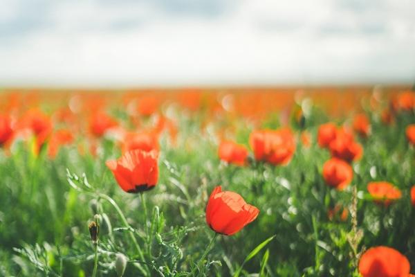 公司3个字起名大全 三个字有创意公司名字