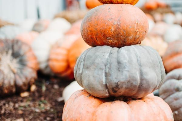 梦见老婆外面有人是啥预兆