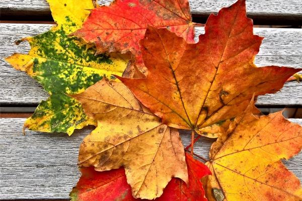 腊月出生的男孩好吗 农历腊月出生的男人命运