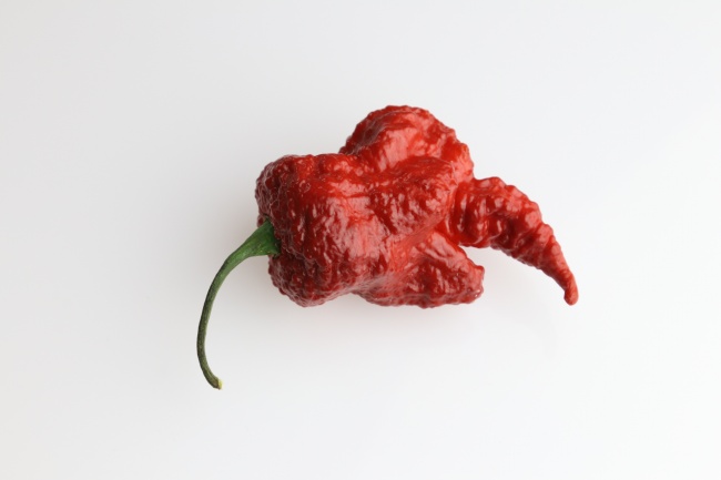 公司名字免费起名大全三个字（精选100个）