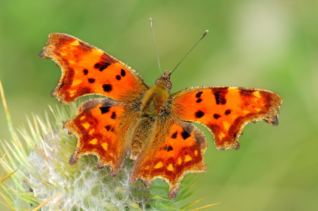 2023春节过后霉运不再有 被好运环绕的3星座