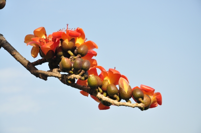 2023年立春出生是什么命 属兔人要注意什么