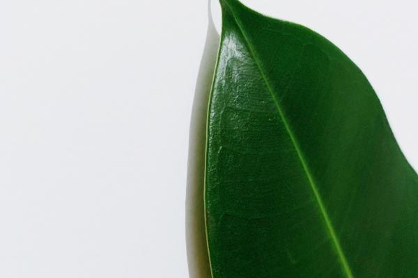 摩羯座1月份运势2023年 2023年1月摩羯座运势详解