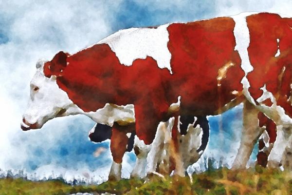 建筑劳务公司起名字大全免费 劳务公司名称好听又聚财