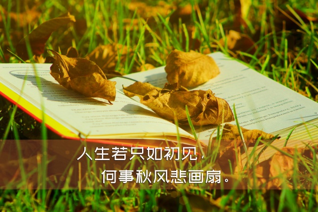 2023年心想事成的星座女 心想事成要啥就有啥