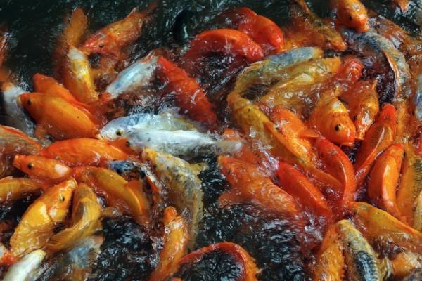 三个字公司名字免费起名大全 三个字公司取名免费