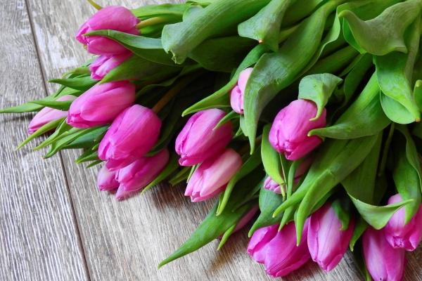 狮子座在2023春节后是否会遇到感情瓶颈  如何克服