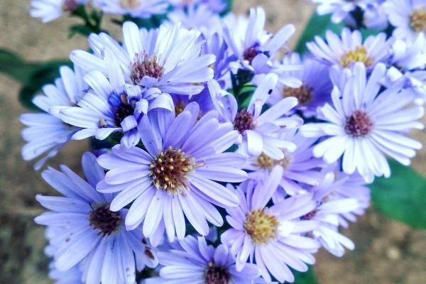 梦到AV有什么说法