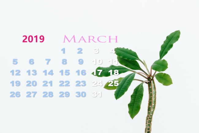 很洋气的公司名字 公司取名字大全参考