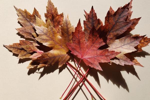 小众但惊艳的公司名称 有文化底蕴的公司名字