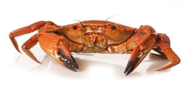 2023年出生是什么年什么命人 五行属什么