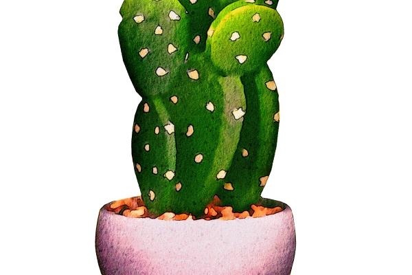 生辰八字查询:2023年农历正月二十这天出生八字是什么