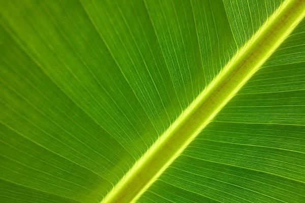 2023年小年出生的小孩属什么 小年生日好吗