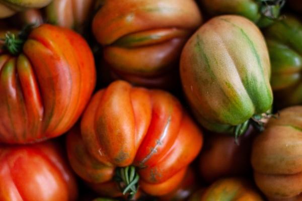 从山海经取公司名三个字 最吉利旺财的公司名字