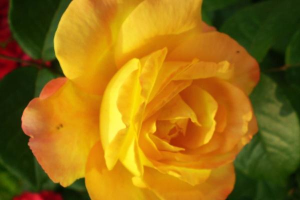 除夕在古时候称为什么 除夕古代的叫法