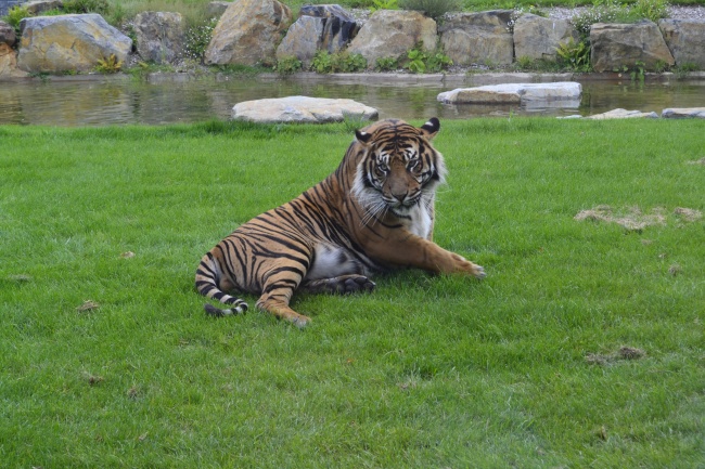 公司注册名字怎么取 注册公司取什么名字最佳