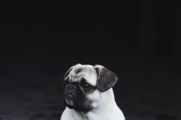 农历小年是几月几日 农历小年生日好不好