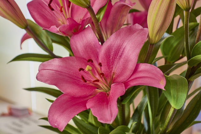 梦到吃别人的东西是啥意思