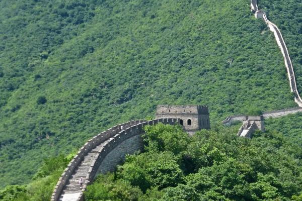 属虎天蝎座2023年运势如何 感情有波折