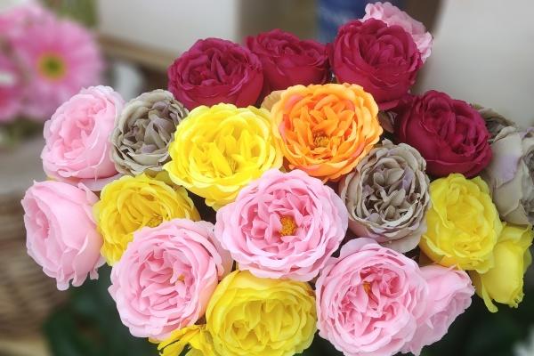 四个字霸气有创意公司名字 公司起名4个字大气