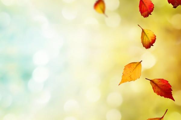 物流公司名字好记寓意好 给物流起个名字叫什么合适