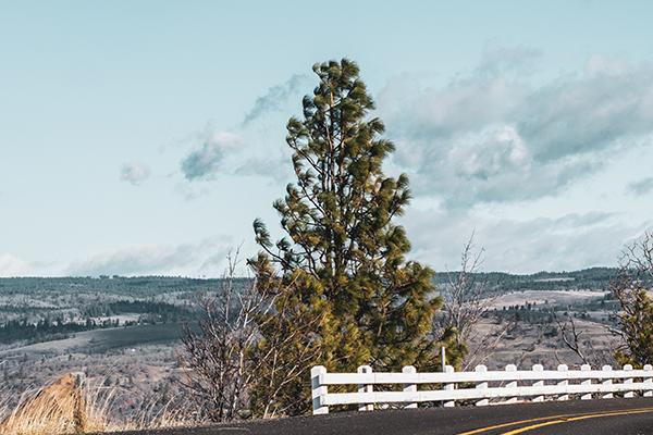 2023年双子座全年完整运气 事业运势怎么样