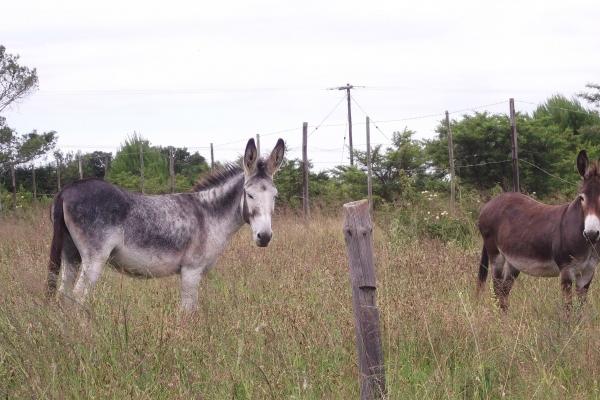 梦到我自己怀孕了有什么预兆