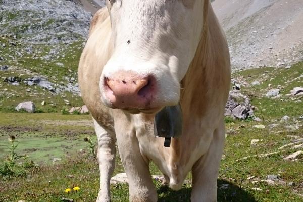 特别好追的星座!他们很容易被打动,总是太轻易就答应对方