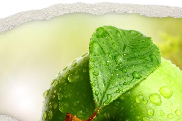 2023年1月30日出生的宝宝五行缺什么 今日出生土旺得水方能疏通