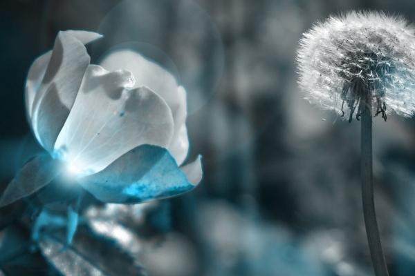 快递公司名称起名大全 新颖的快递公司名称大全