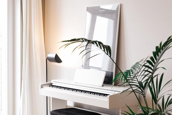 梦到了偷偷有什么征兆