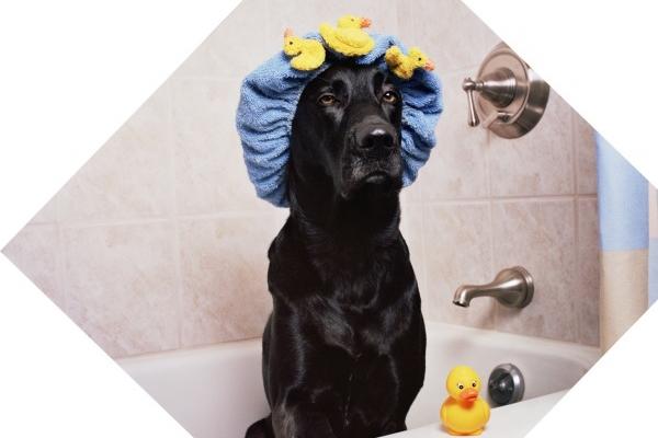 除夕夜是农历几月几日 这日出生的宝宝好不好