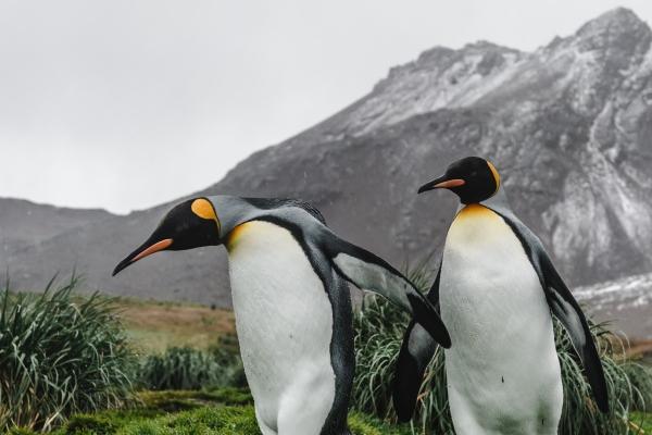 梦到与亲人争吵意味什么